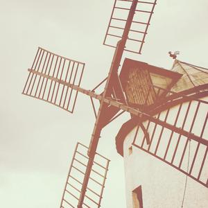 能看阴茎插进阴道里的软件
